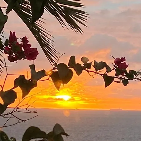 Seaviews&flowers *