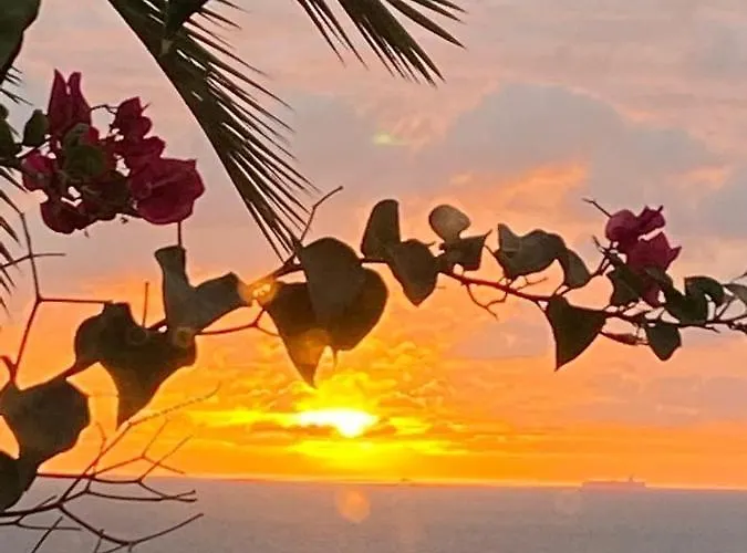 Seaviews And Flowers *