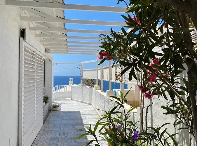 Seaviews And Flowers
